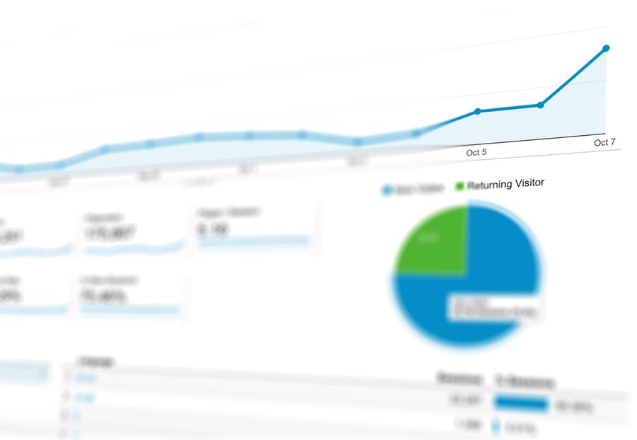 Local business SEO domination case study